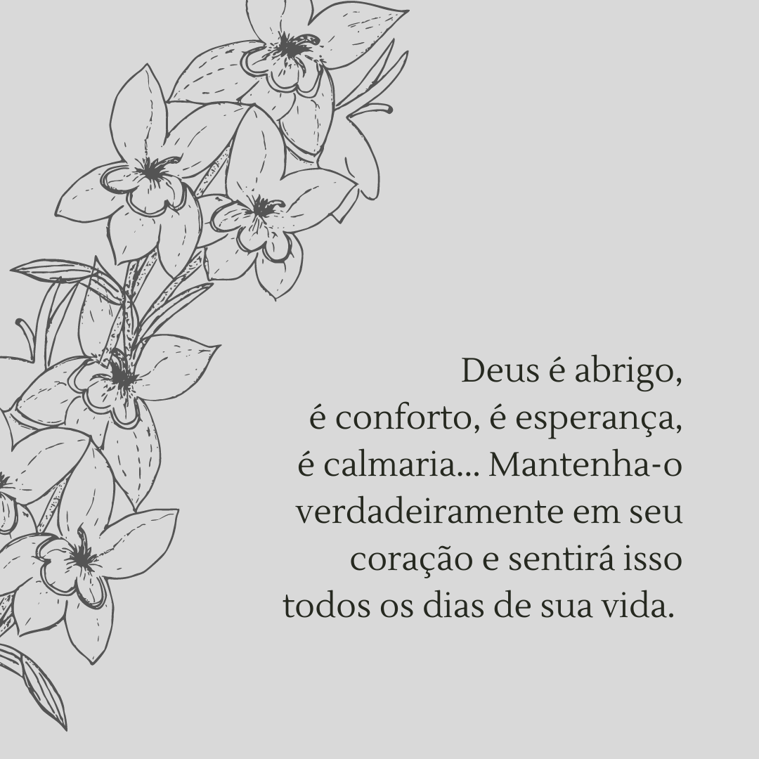 Deus é abrigo, é conforto, é esperança, é calmaria... Mantenha-o verdadeiramente em seu coração e sentirá isso todos os dias de sua vida. 