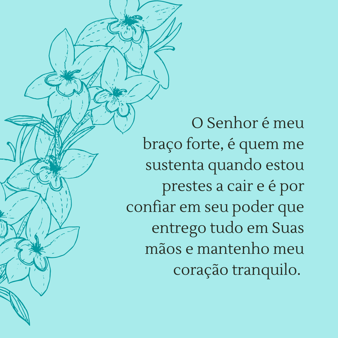 O Senhor é meu braço forte, é quem me sustenta quando estou prestes a cair e é por confiar em seu poder que entrego tudo em Suas mãos e mantenho meu coração tranquilo. 