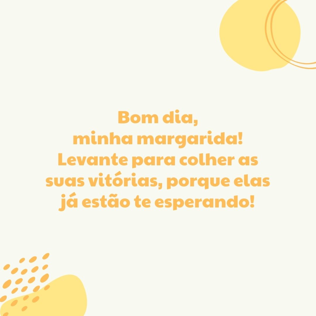 Bom dia, minha margarida! Levante para colher as suas vitórias, porque elas já estão te esperando!