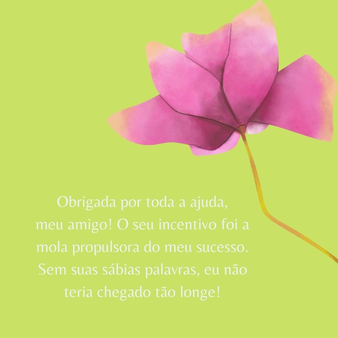 Obrigada por toda a ajuda, meu amigo! O seu incentivo foi a mola propulsora do meu sucesso. Sem suas sábias palavras, eu não teria chegado tão longe!