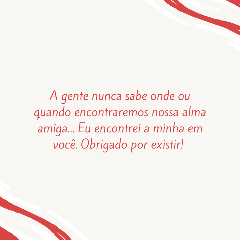 A gente nunca sabe onde ou quando encontraremos nossa alma amiga... Eu encontrei a minha em você. Obrigado por existir! 