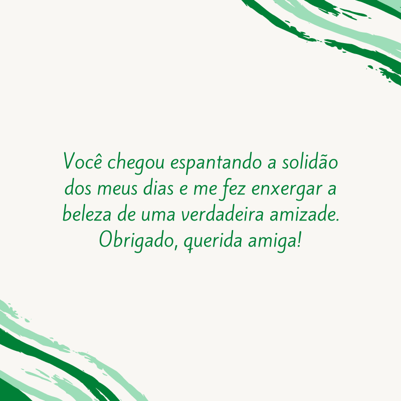 Você chegou espantando a solidão dos meus dias e me fez enxergar a beleza de uma verdadeira amizade. Obrigado, querida amiga!