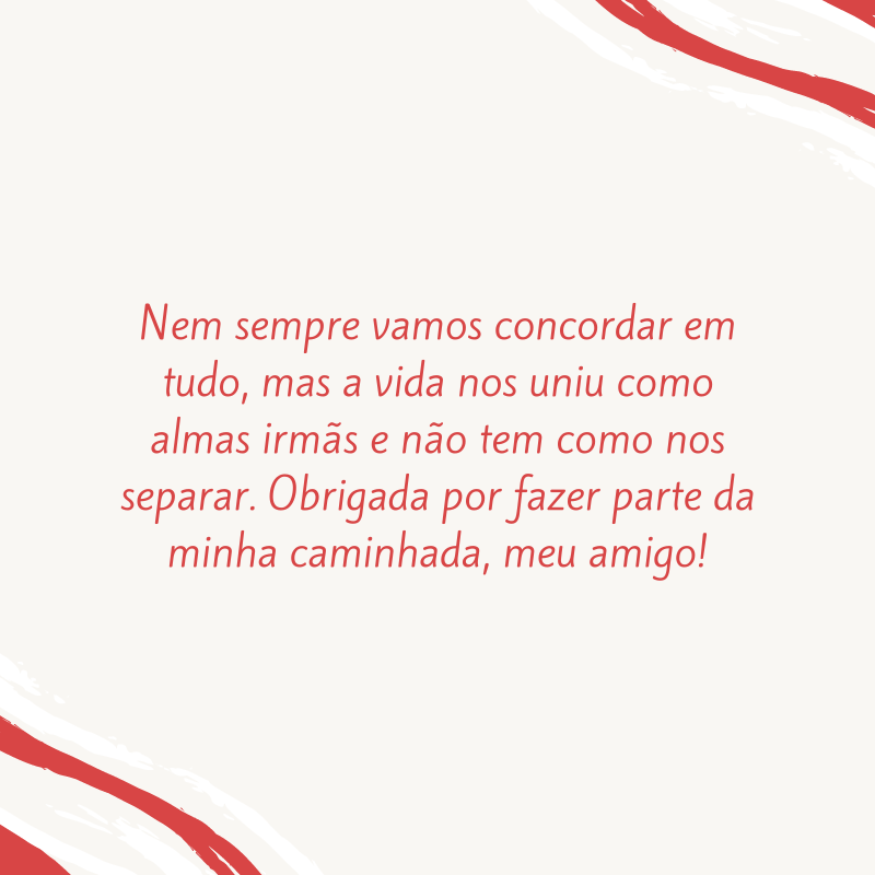 Nem sempre vamos concordar em tudo, mas a vida nos uniu como almas irmãs e não tem como nos separar. Obrigada por fazer parte da minha caminhada, meu amigo! 