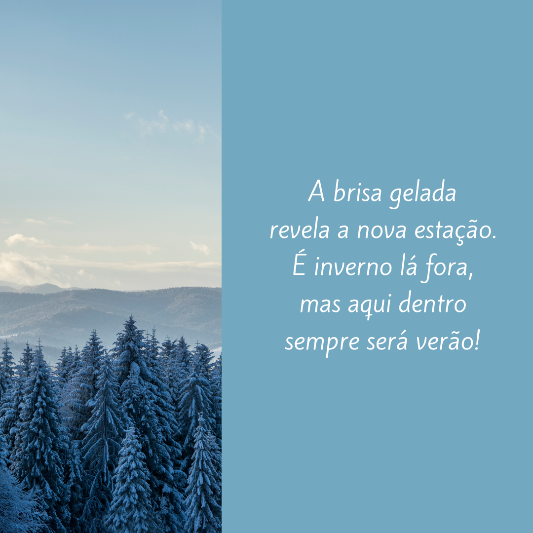 A brisa gelada revela a nova estação. É inverno lá fora, mas aqui dentro sempre será verão!