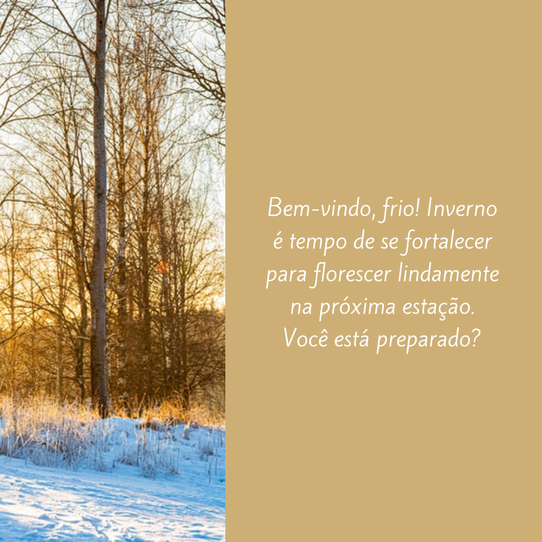 Bem-vindo, frio! Inverno é tempo de se fortalecer para florescer lindamente na próxima estação. Você está preparado?