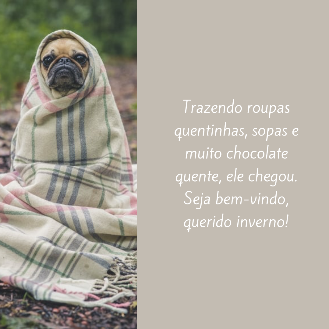 Trazendo roupas quentinhas, sopas e muito chocolate quente, ele chegou. Seja bem-vindo, querido inverno!