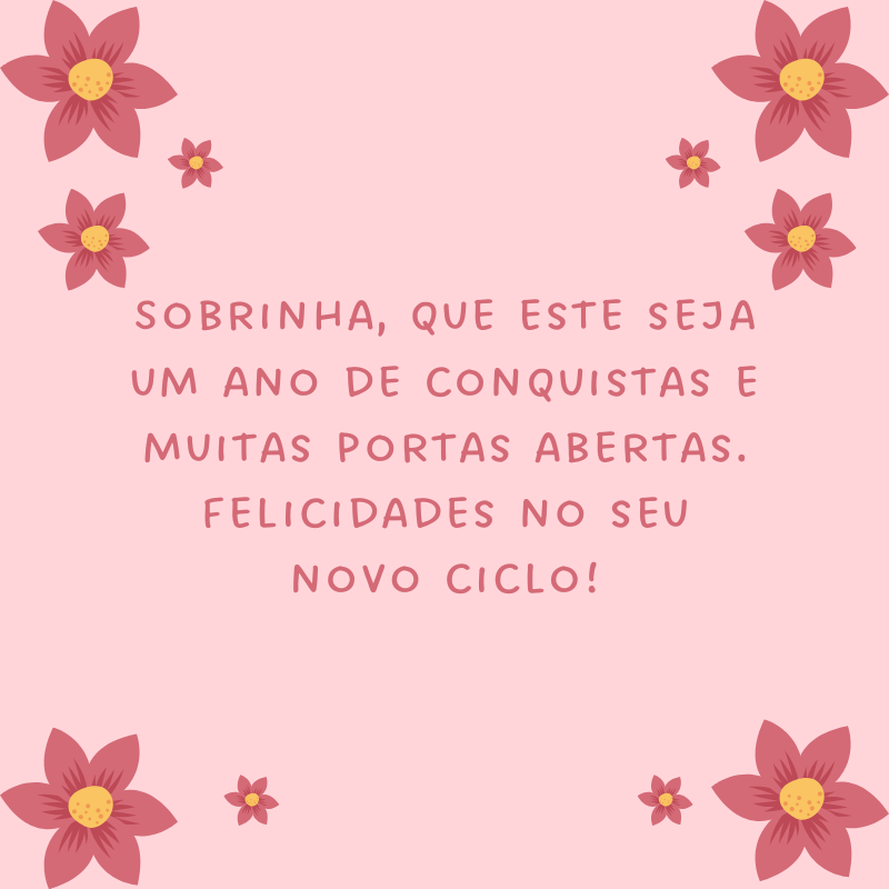 Sobrinha, que este seja um ano de conquistas e muitas portas abertas. Felicidades no seu novo ciclo!