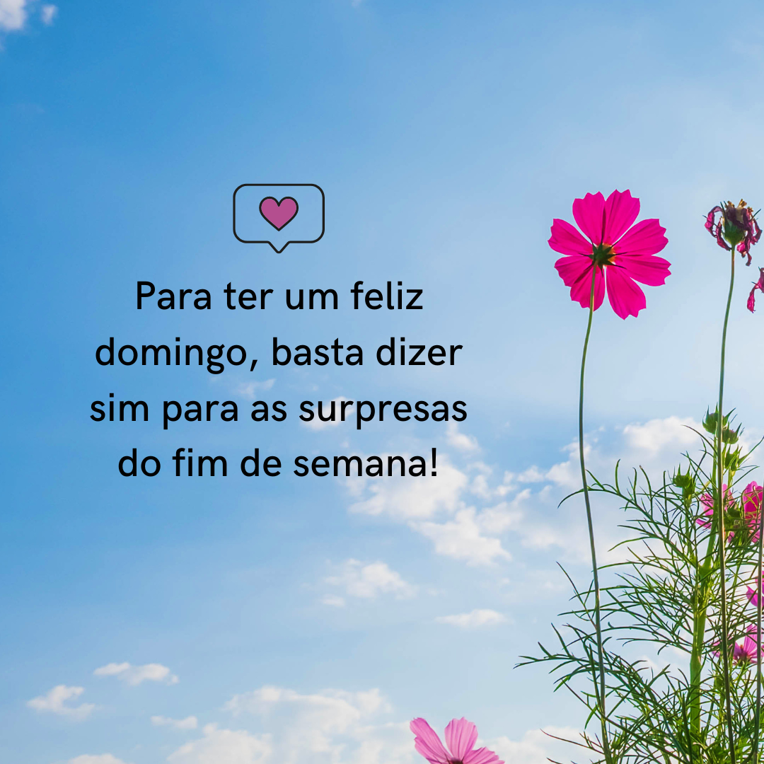 Para ter um feliz domingo, basta dizer sim para as surpresas do fim de semana!