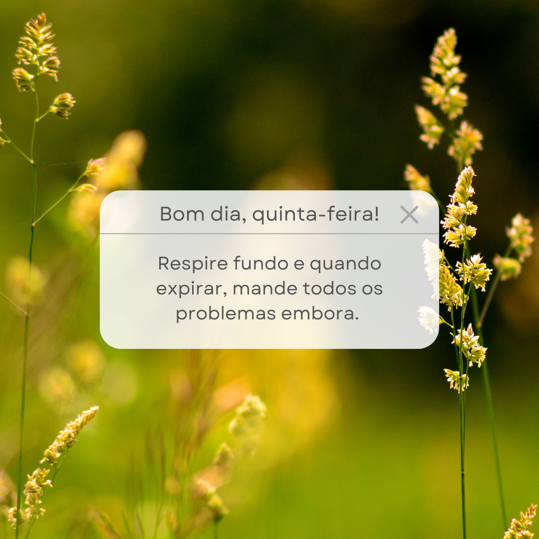 Bom dia, quinta-feira! Respire fundo e quando expirar, mande todos os problemas embora. 