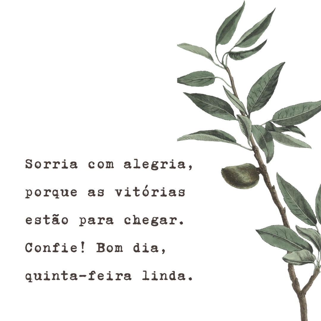 Sorria com alegria, porque as vitórias estão para chegar. Confie! Bom dia, quinta-feira linda.