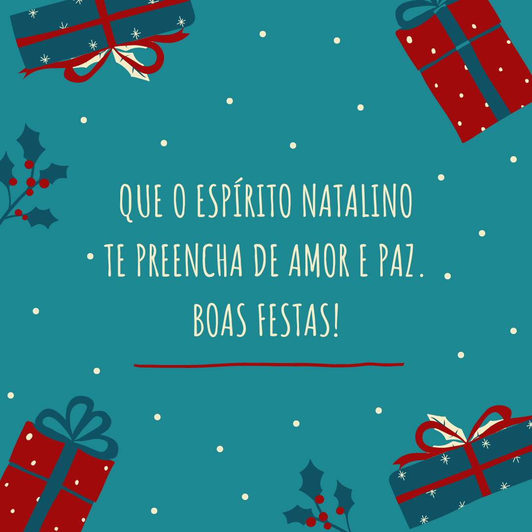 Que o espírito natalino te preencha de amor e paz. Boas Festas!