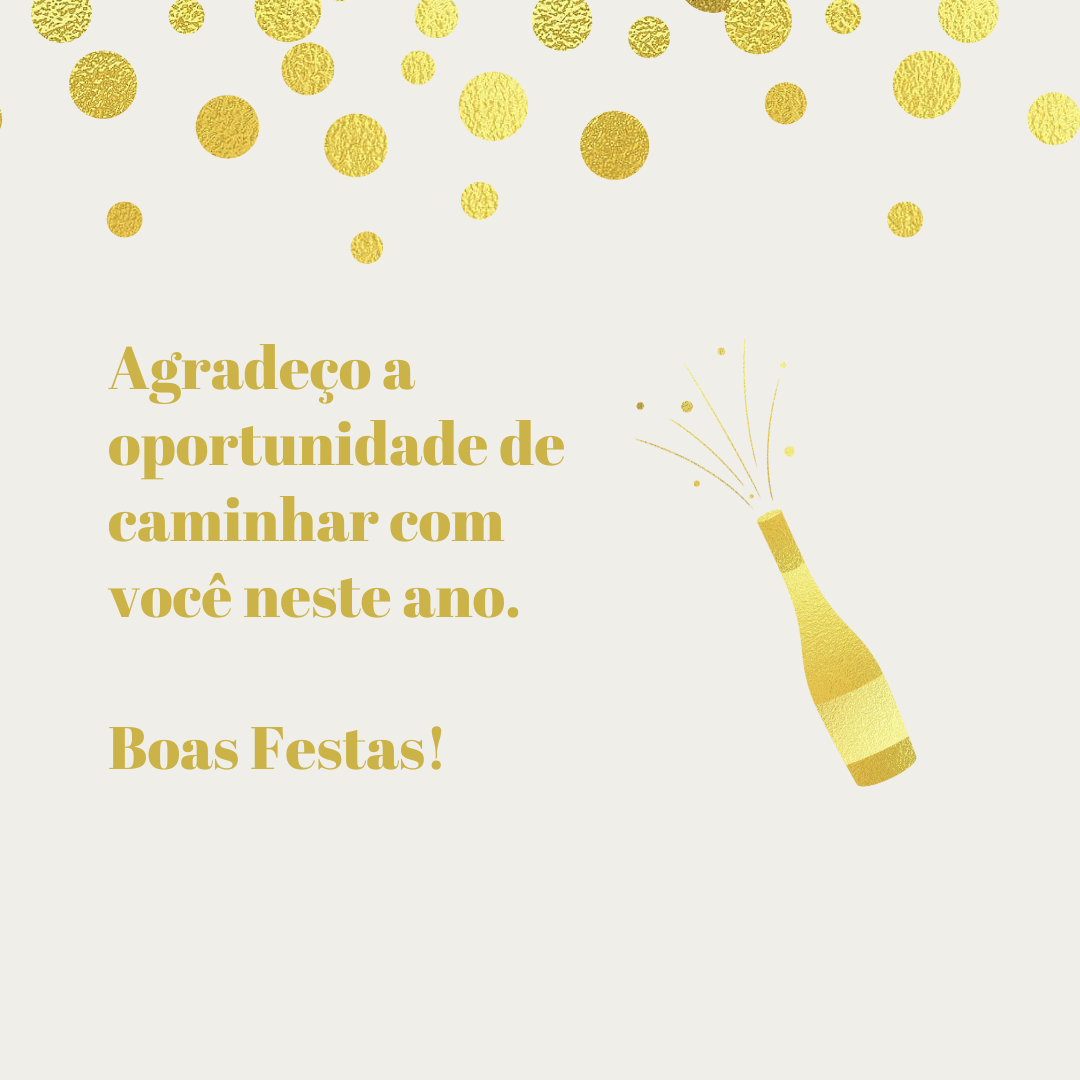 Agradeço a oportunidade de caminhar com você neste ano. Boas Festas!