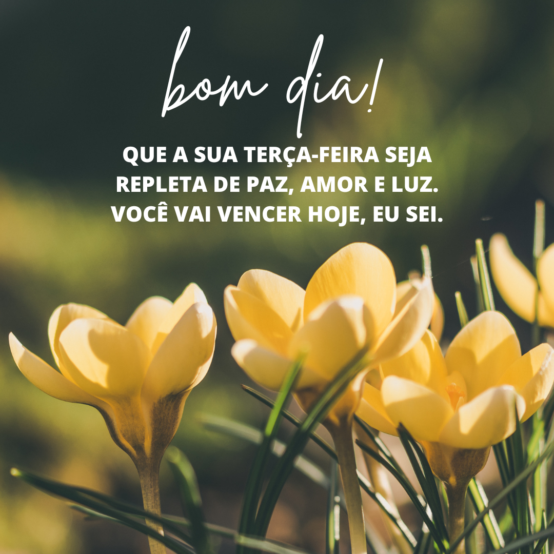 Bom dia! Que a sua terça-feira seja repleta de paz, amor e luz. Você vai vencer hoje, eu sei.