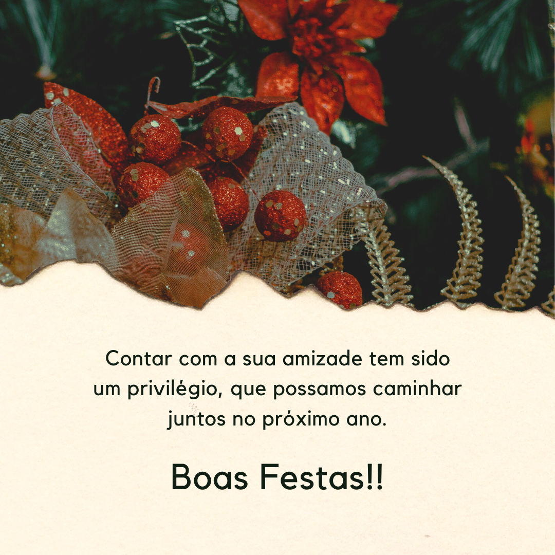 Contar com a sua amizade tem sido um privilégio, que possamos caminhar juntos no próximo ano. Boas Festas!