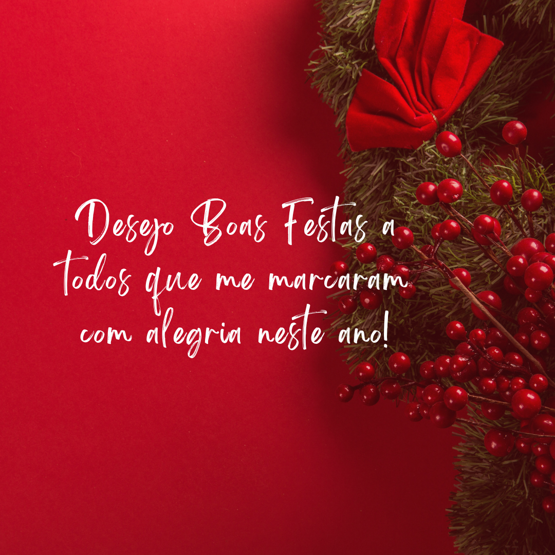 Desejo Boas Festas a todos que me marcaram com alegria neste ano!