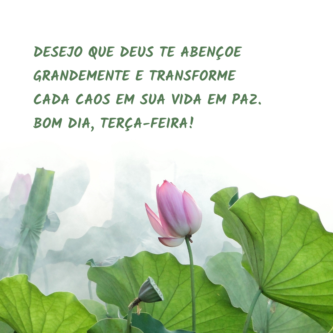 Desejo que Deus te abençoe grandemente e transforme cada caos em sua vida em paz. Bom dia, terça-feira!