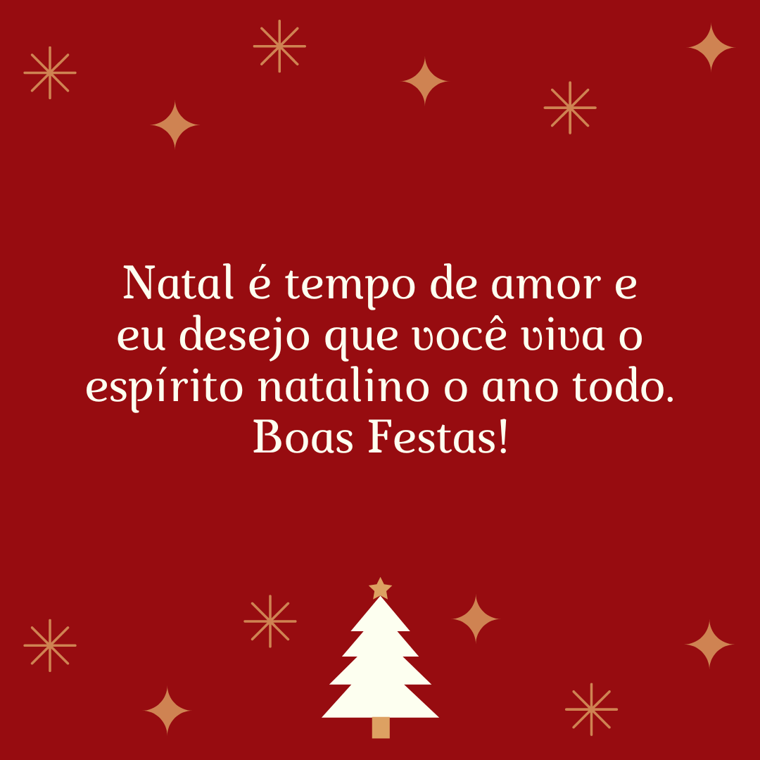 Natal é tempo de amor e eu desejo que você viva o espírito natalino o ano todo. Boas Festas!