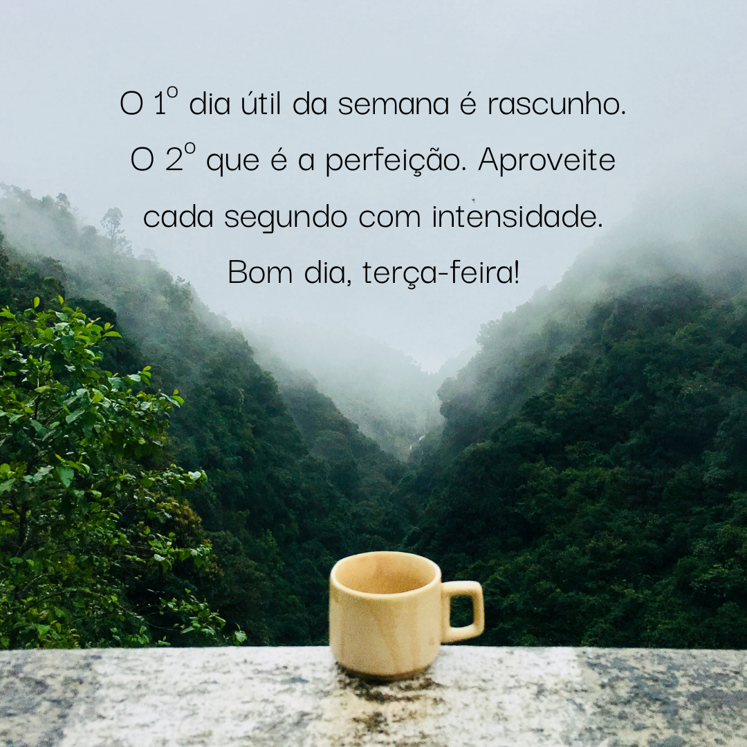 O 1º dia útil da semana é rascunho. O 2º que é a perfeição. Aproveite cada segundo com intensidade. Bom dia, terça-feira!