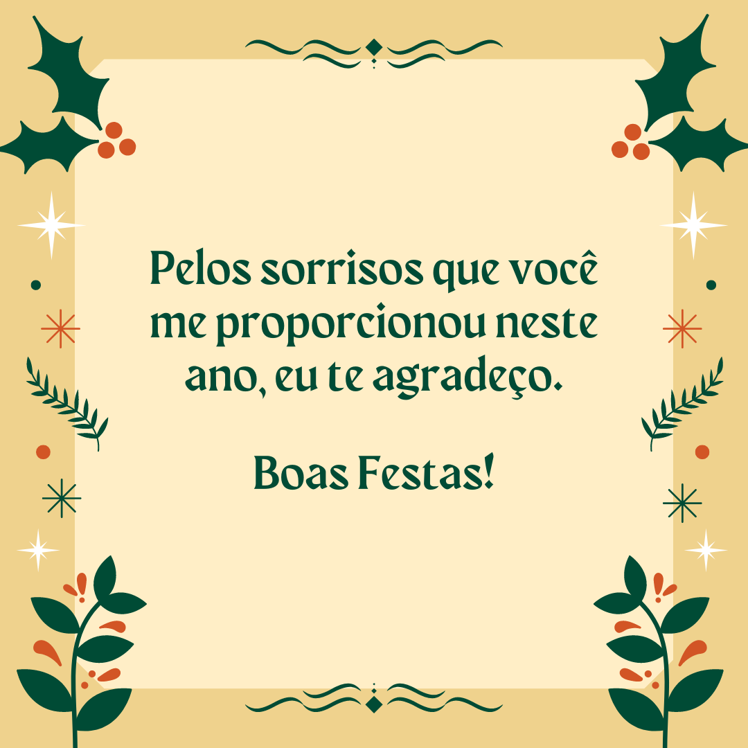 Pelos sorrisos que você me proporcionou neste ano, eu te agradeço. Boas Festas!