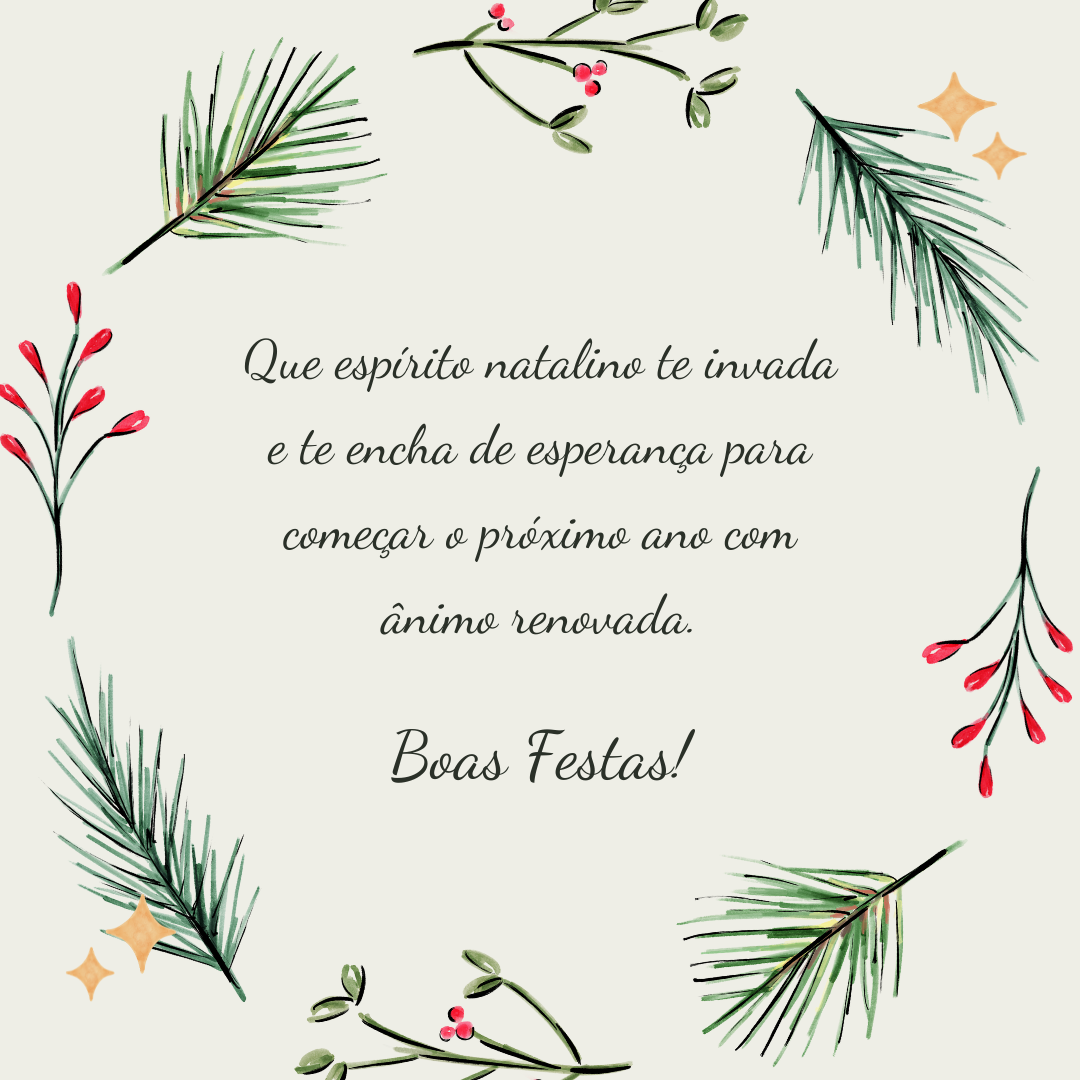 Que espírito natalino te invada e te encha de esperança para começar o próximo ano com ânimo renovada. Boas Festas!