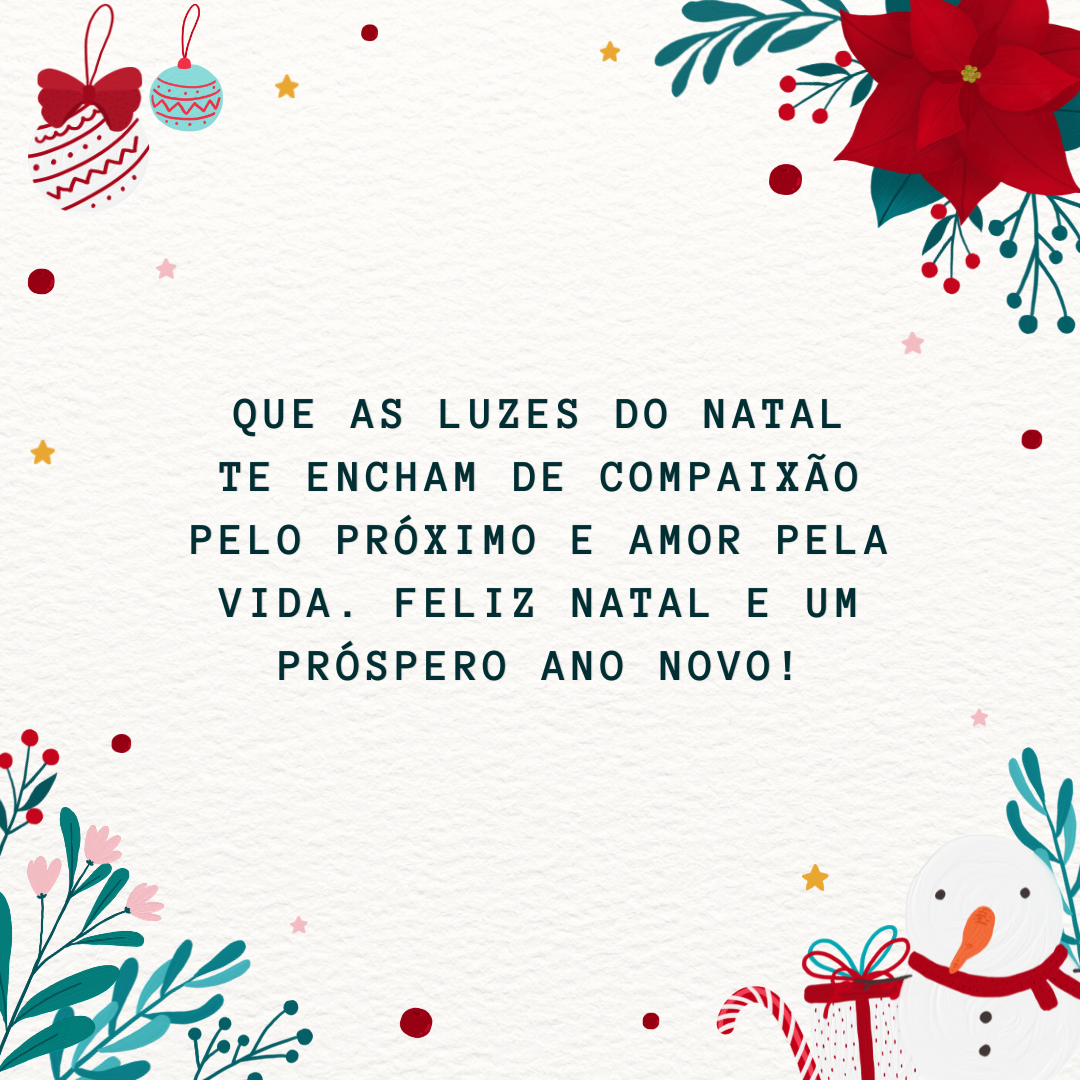 Que as luzes do Natal te encham de compaixão pelo próximo e amor pela vida. Feliz Natal e um próspero Ano Novo!