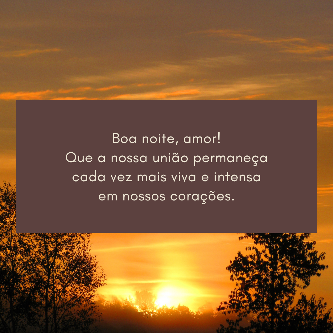 Boa noite, amor! Que a nossa união permaneça cada vez mais viva e intensa em nossos corações.