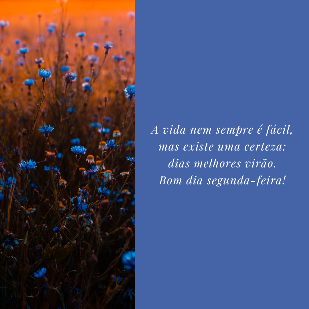 A vida nem sempre é fácil, mas existe uma certeza: dias melhores virão. Bom dia segunda-feira!