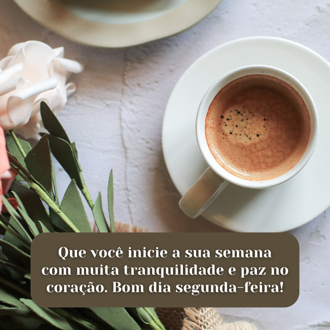 Que você inicie a sua semana com muita tranquilidade e paz no coração. Bom dia segunda-feira!