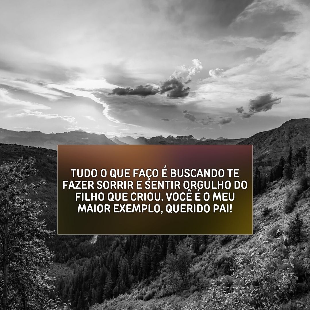 Tudo o que faço é buscando te fazer sorrir e sentir orgulho do filho que criou. Você é o meu maior exemplo, querido pai!