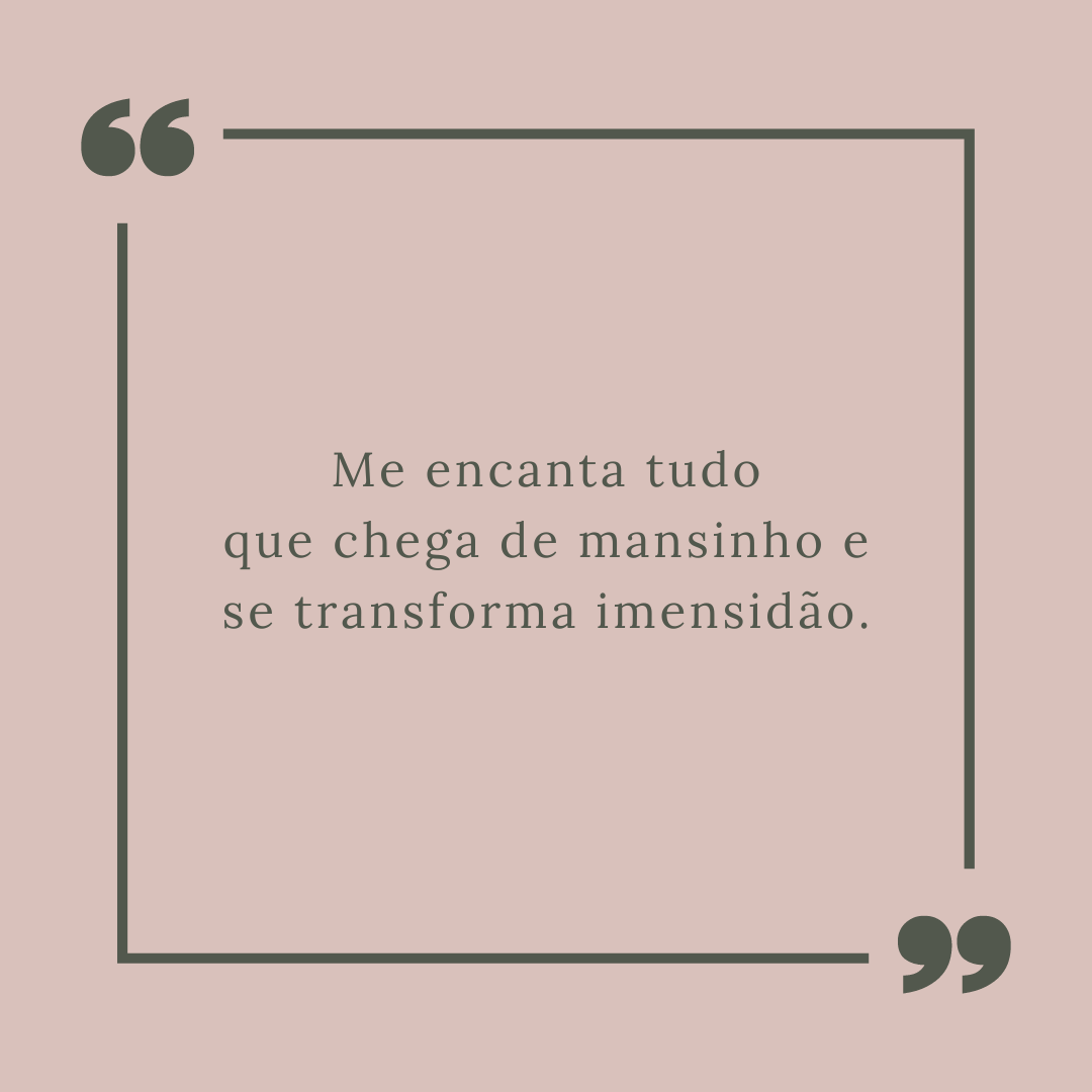 Me encanta tudo que chega de mansinho e se transforma imensidão.