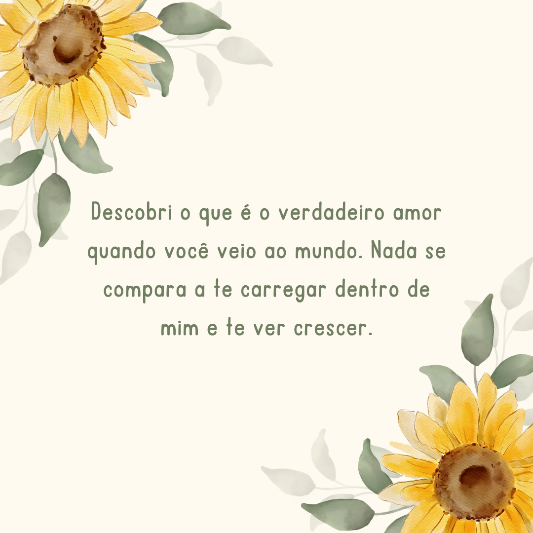 Descobri o que é o verdadeiro amor quando você veio ao mundo. Nada se compara a te carregar dentro de mim e te ver crescer.