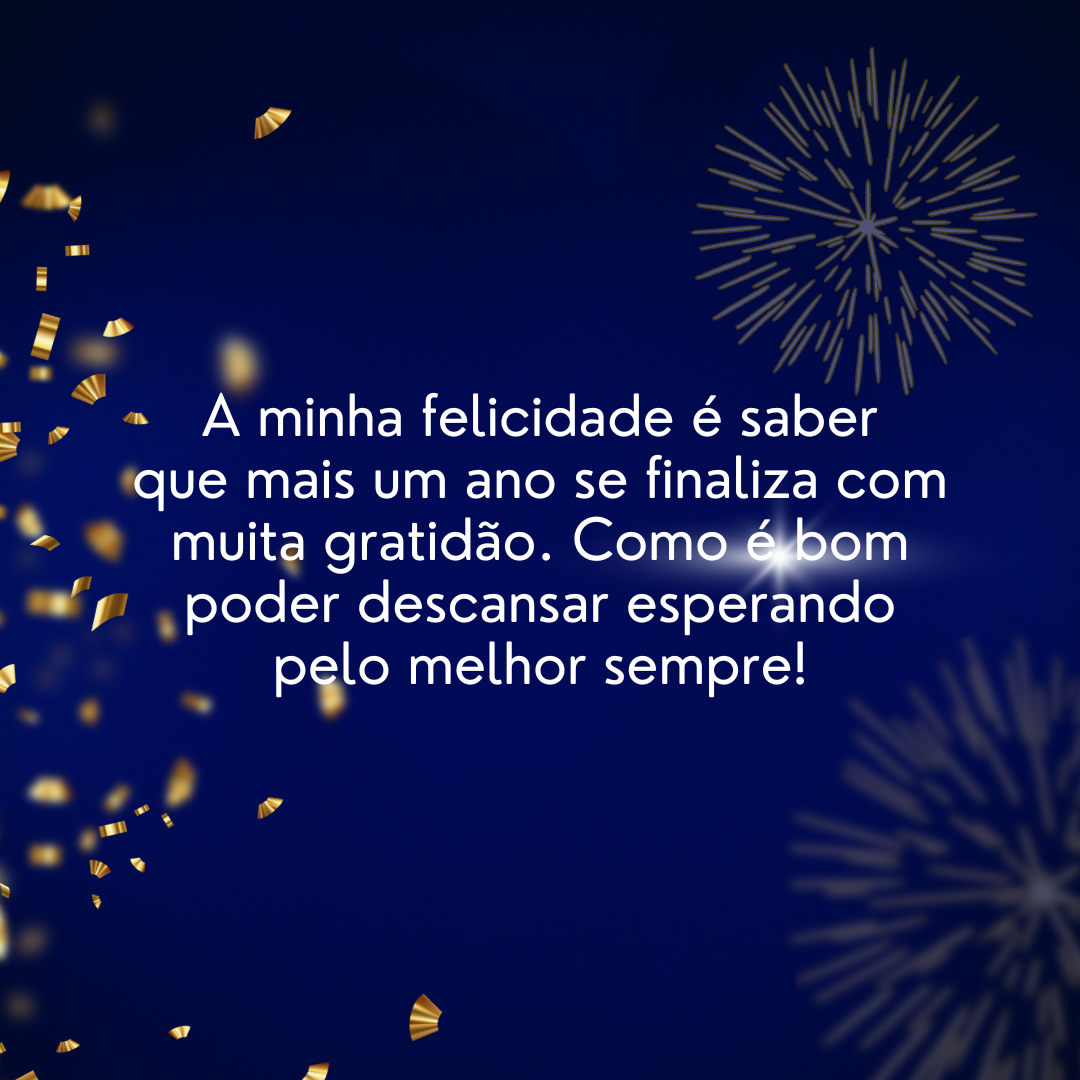 A minha felicidade é saber que mais um ano se finaliza com muita gratidão. Como é bom poder descansar esperando pelo melhor sempre!