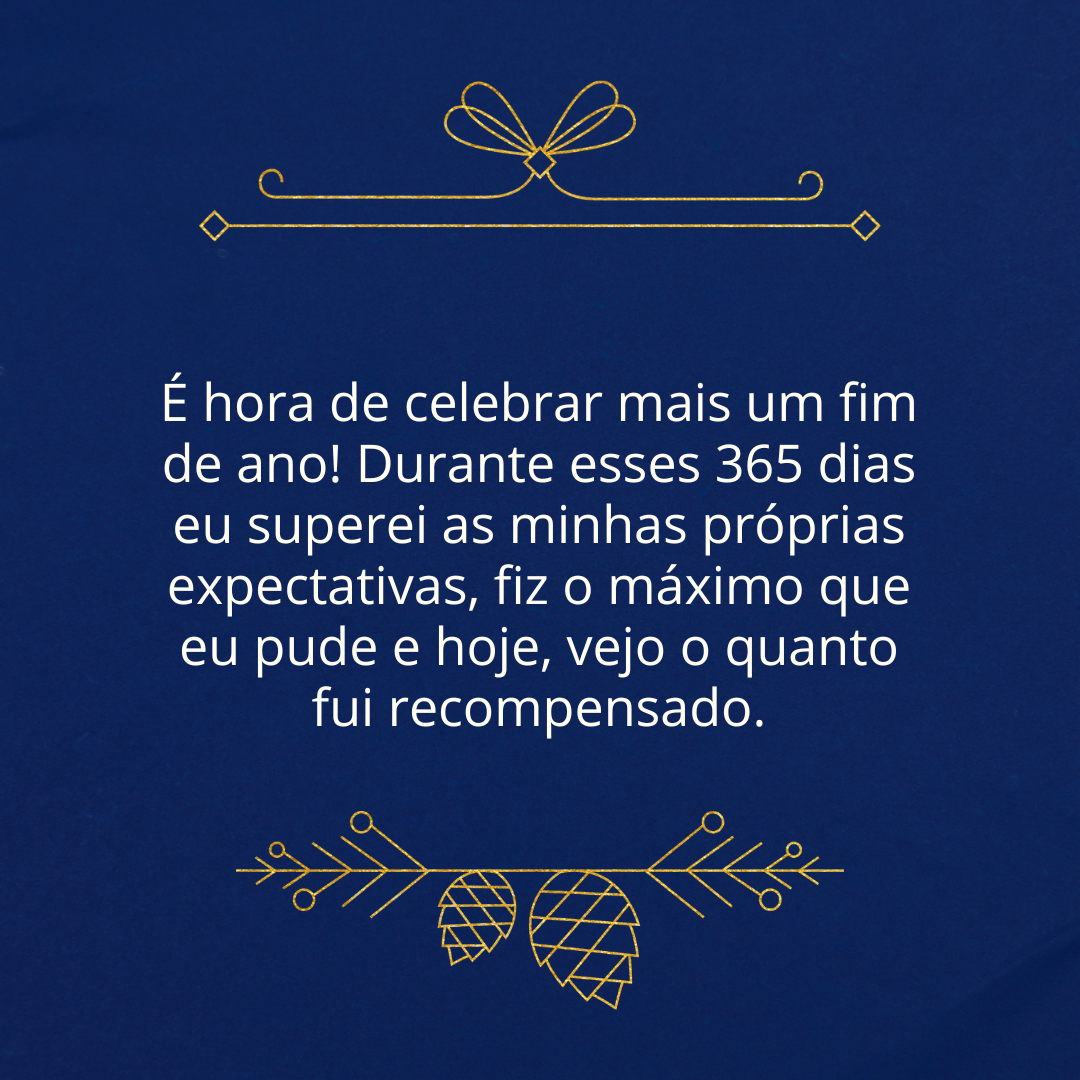 É hora de celebrar mais um fim de ano! Durante esses 365 dias eu superei as minhas próprias expectativas, fiz o máximo que eu pude e hoje, vejo o quanto fui recompensado.