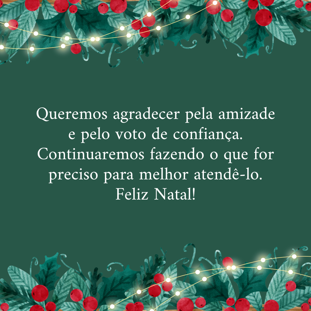 Queremos agradecer pela amizade e pelo voto de confiança. Continuaremos fazendo o que for preciso para melhor atendê-lo. Feliz Natal!