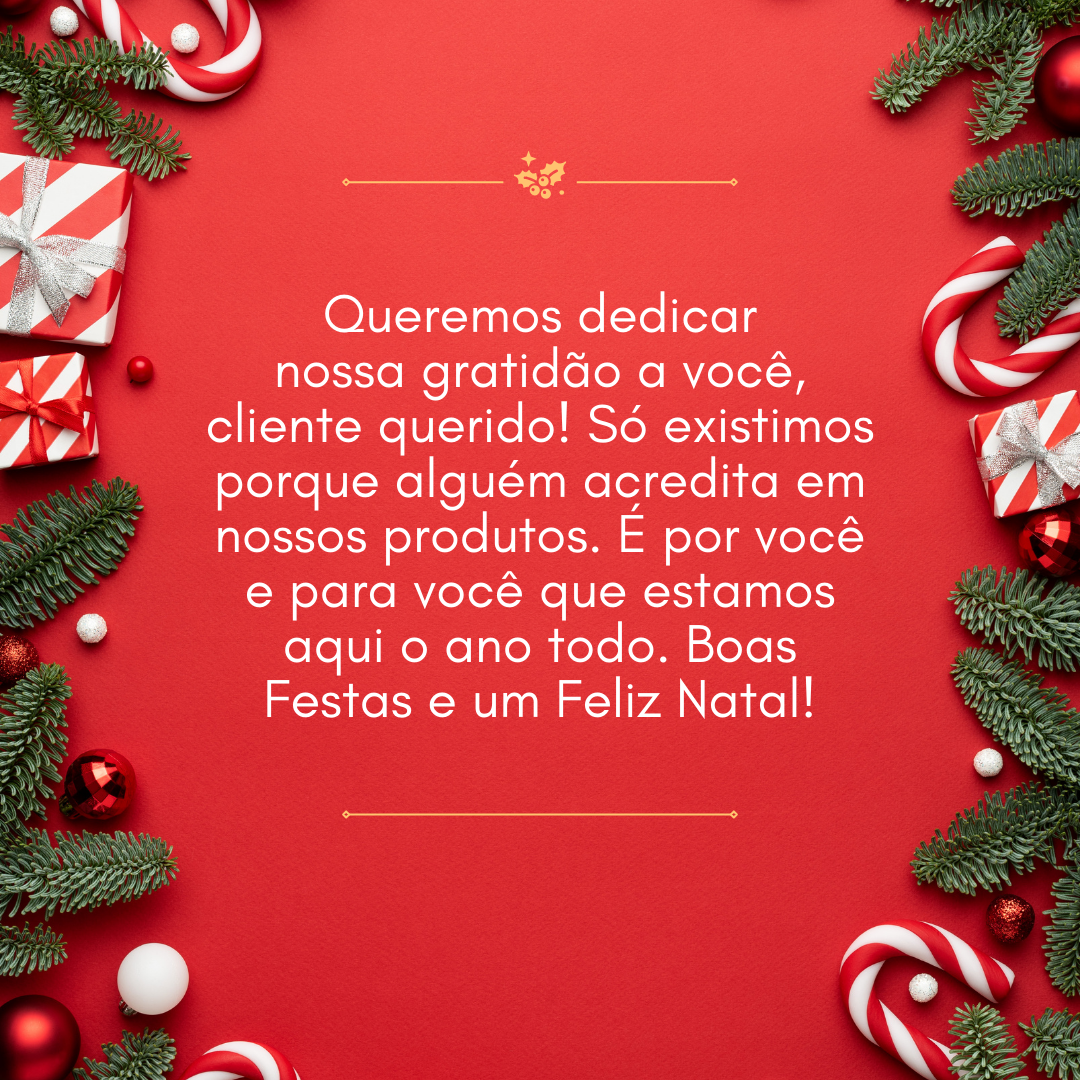 Queremos dedicar nossa gratidão a você, cliente querido! Só existimos porque alguém acredita em nossos produtos. É por você e para você que estamos aqui o ano todo. Boas Festas e um Feliz Natal!