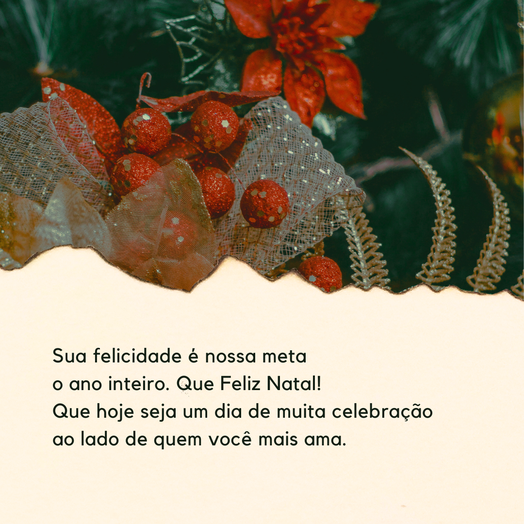 Sua felicidade é nossa meta o ano inteiro. Que Feliz Natal! Que hoje seja um dia de muita celebração ao lado de quem você mais ama. 